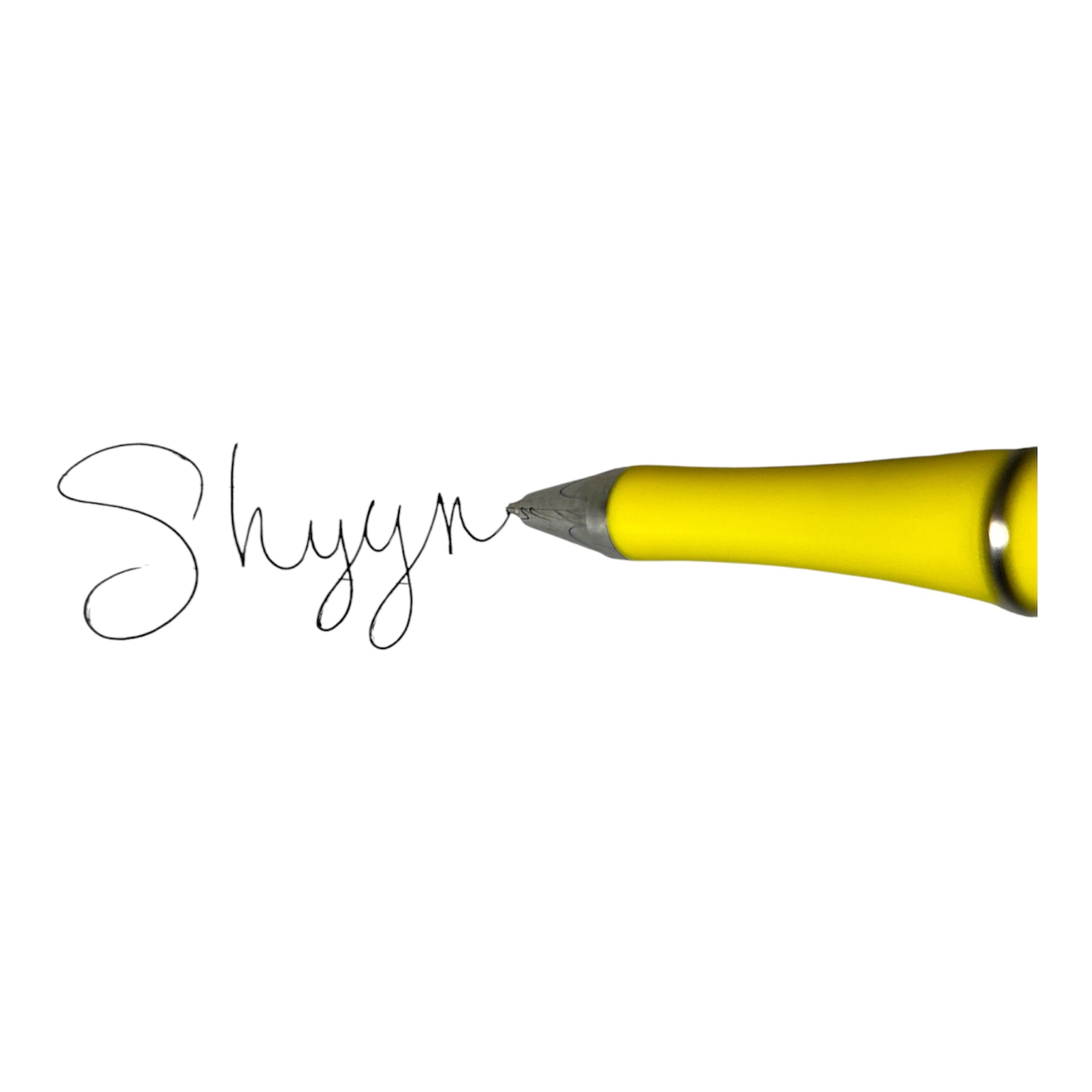 Blk & Yellow Sunflower